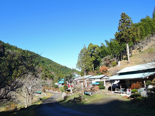 DSCN6008
