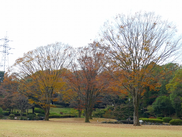 P1000472