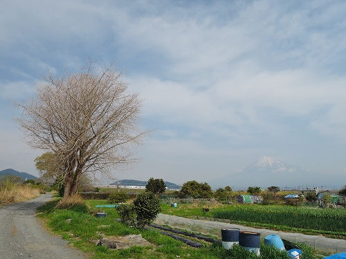 DSCN1262