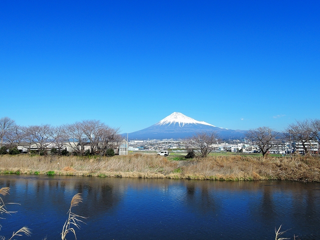 DSCN0360