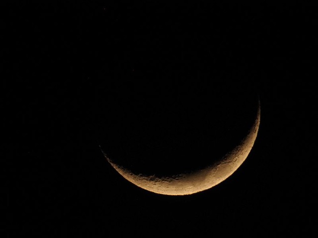 260122P1220010