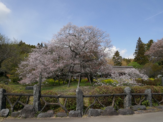 260406-01