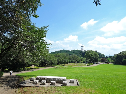 DSCN3413