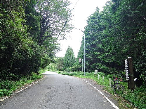 DSCN3930