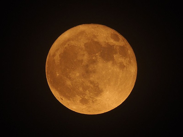 260630P6300004