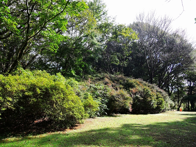 DSCN1957