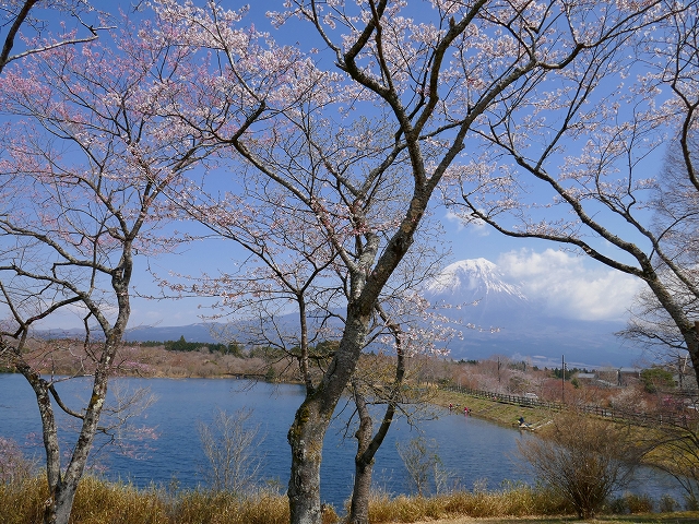 P1000851