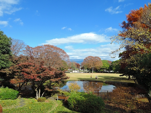 DSCN5398