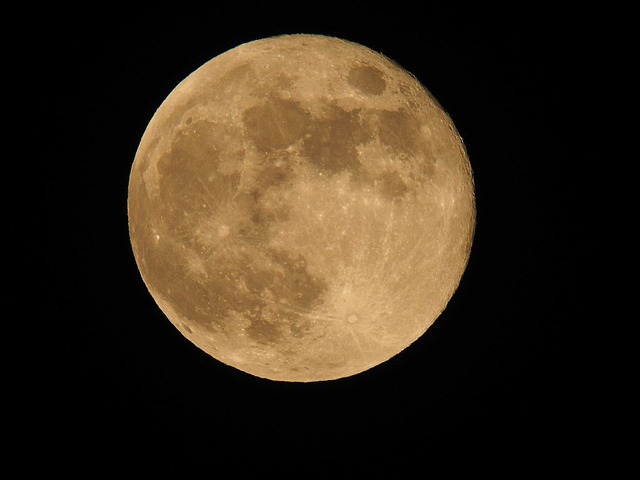 231029PA290010w