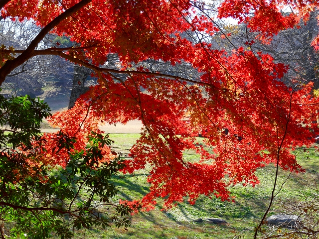 P1000774