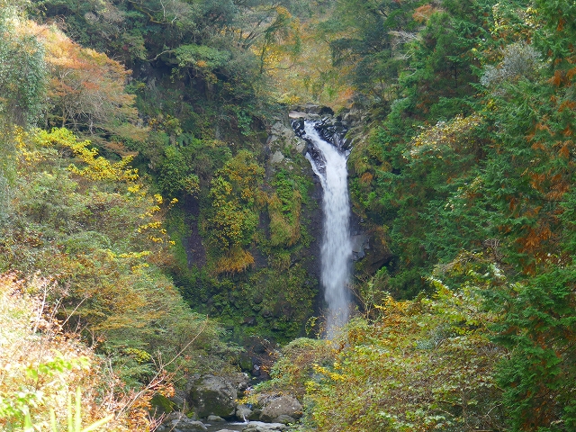 P1000400