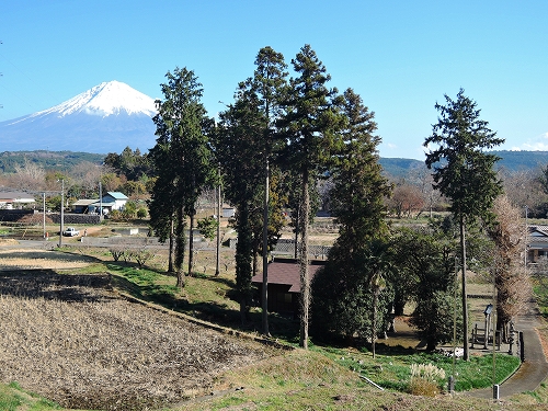DSCN6261