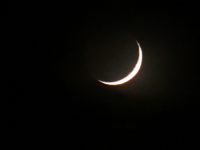 231215P1000099