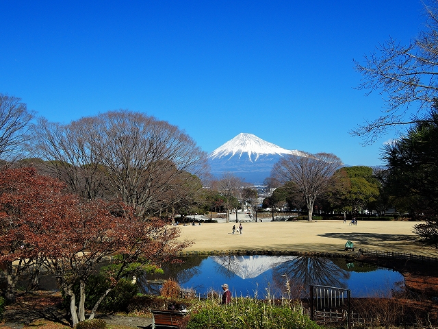 DSCN0353