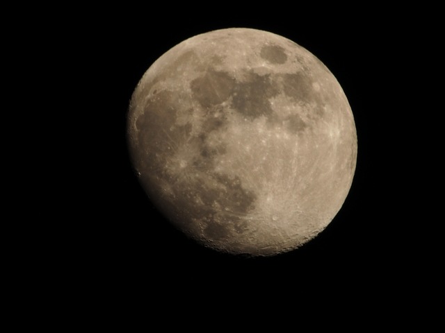 231224PC240011