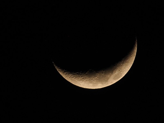 260123P1230008