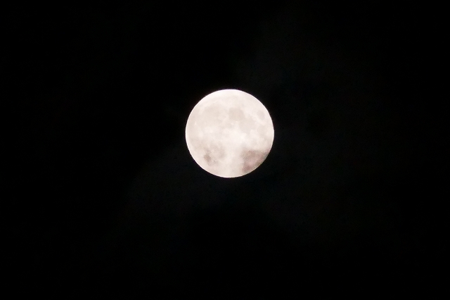 230929P0903