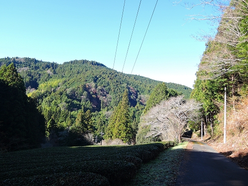 DSCN5996