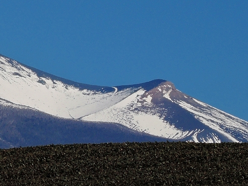 DSCN6253