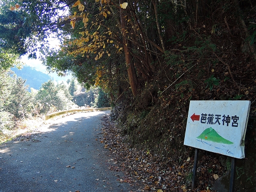 DSCN6016