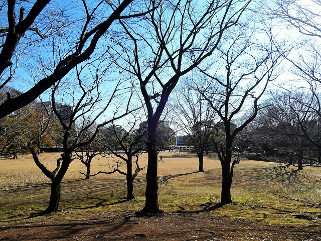 DSCN2697