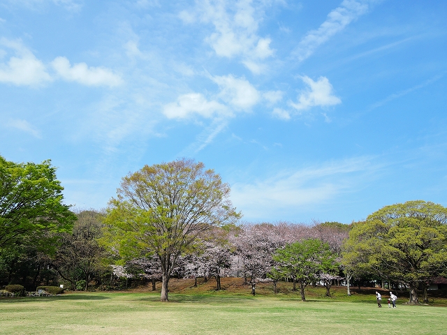 DSCN0971