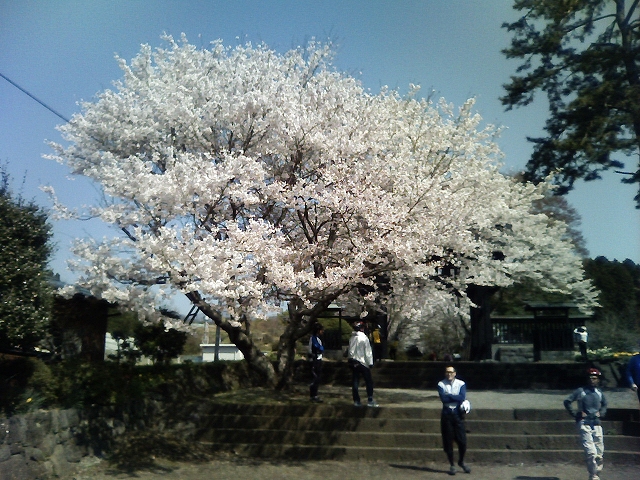 080408