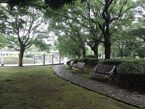 DSCN2686