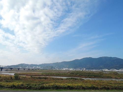 DSCN5394
