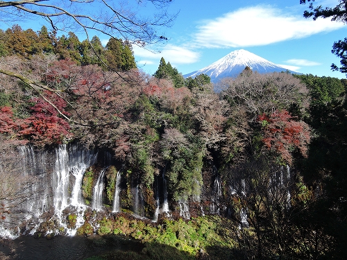 DSCN5883