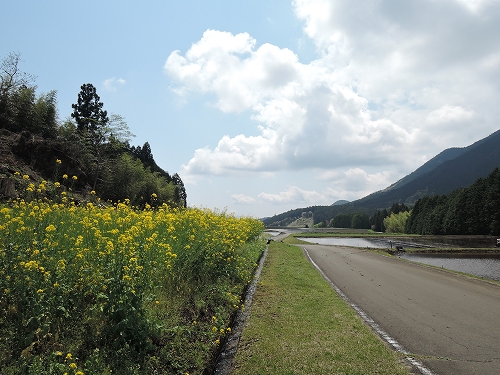DSCN1362