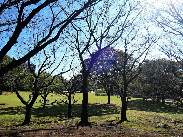 DSCN2108