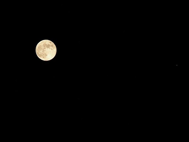 231029PA290026w