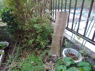 dscn2005_3