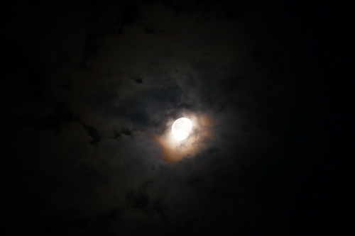 230707P700