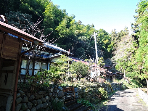 DSCN6084