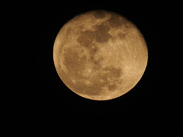 260305P3050012