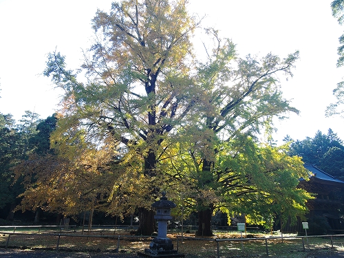 DSCN3251