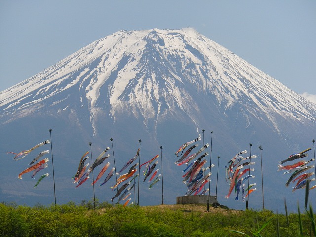 IMGP0025