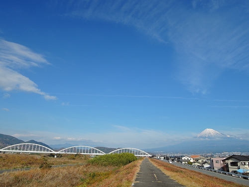DSCN6109