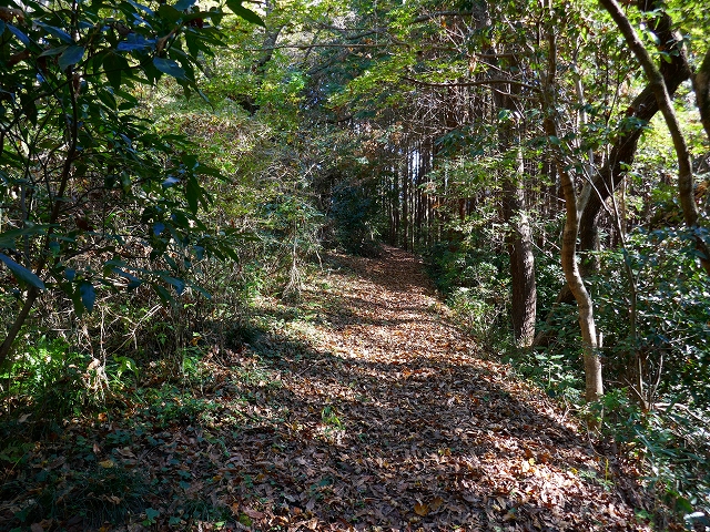 P1000533