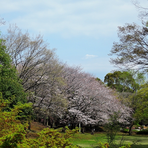 DSCN0968