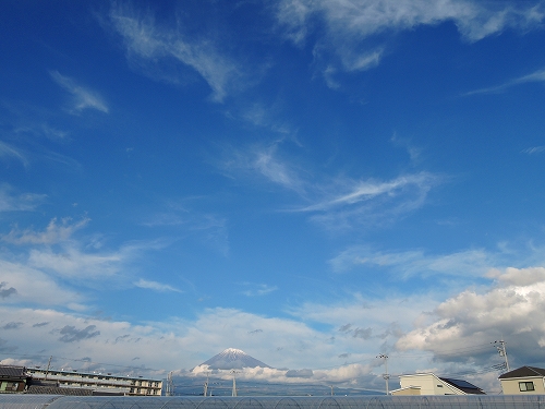 DSCN5496