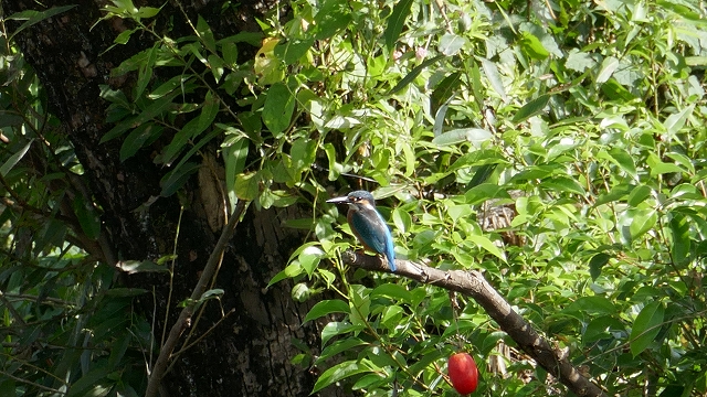 P1020369