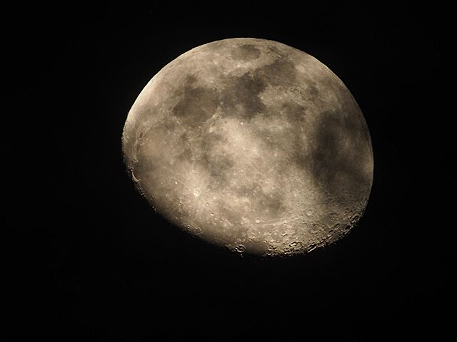 260129P1290010