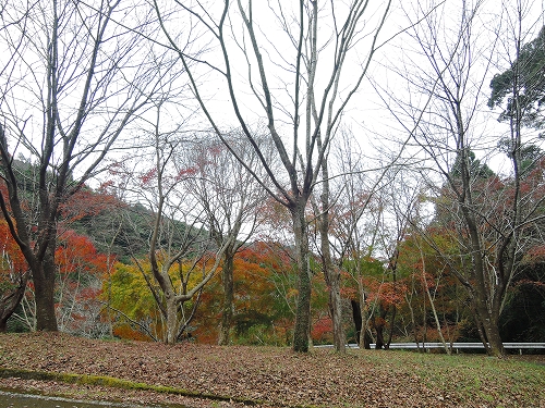 221204sudo05