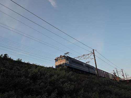 DSCN2726