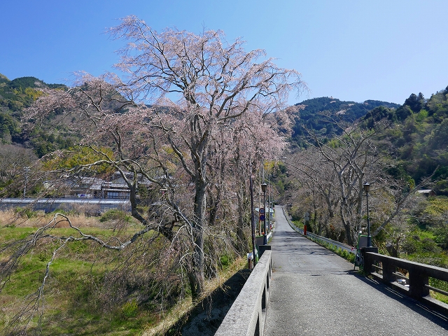 P1000762
