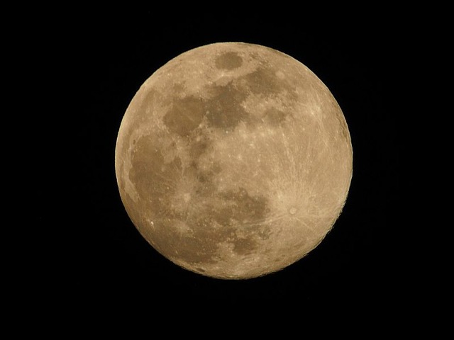 231226PC260005n