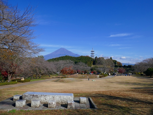 P1000760